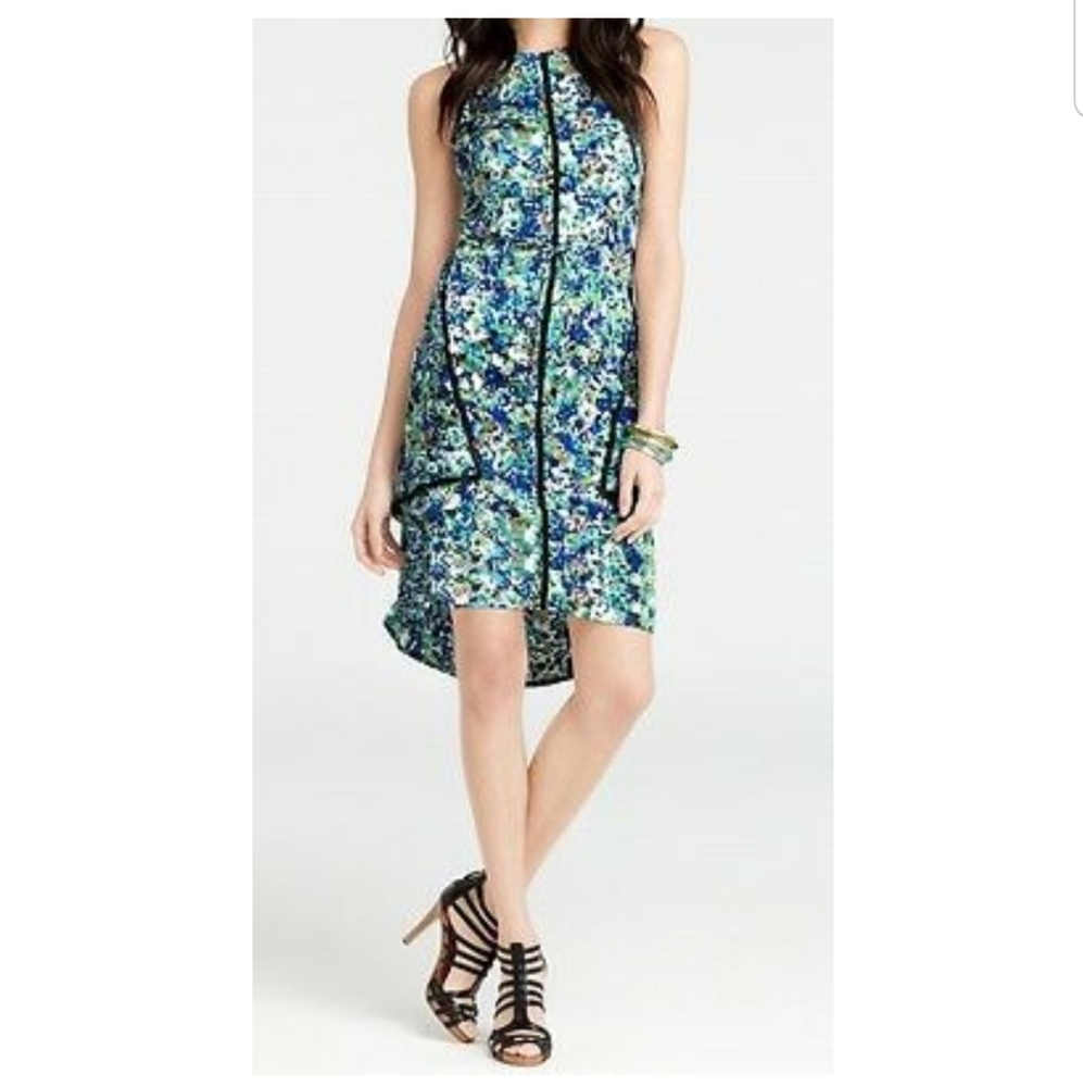 Ann Taylor Petite Floral Sleeveless Dress Size 2P